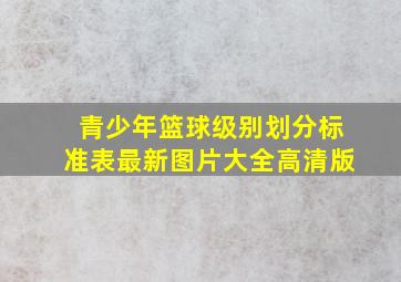 青少年篮球级别划分标准表最新图片大全高清版