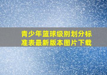 青少年篮球级别划分标准表最新版本图片下载