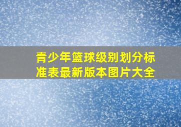 青少年篮球级别划分标准表最新版本图片大全