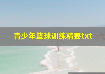 青少年篮球训练精要txt