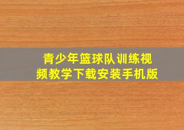 青少年篮球队训练视频教学下载安装手机版