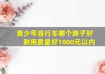 青少年自行车哪个牌子好耐用质量好1000元以内