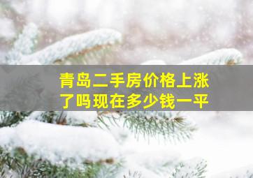 青岛二手房价格上涨了吗现在多少钱一平