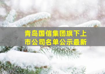 青岛国信集团旗下上市公司名单公示最新