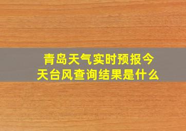 青岛天气实时预报今天台风查询结果是什么