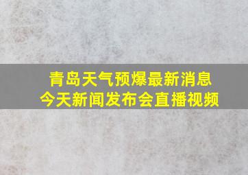 青岛天气预爆最新消息今天新闻发布会直播视频