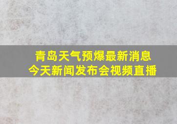 青岛天气预爆最新消息今天新闻发布会视频直播