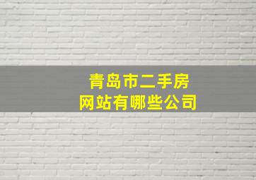 青岛市二手房网站有哪些公司