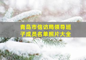 青岛市信访局领导班子成员名单照片大全