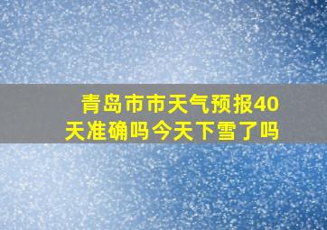 青岛市市天气预报40天准确吗今天下雪了吗