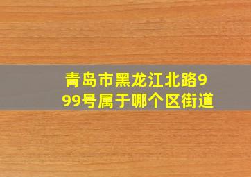 青岛市黑龙江北路999号属于哪个区街道