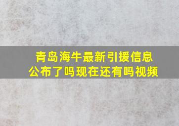 青岛海牛最新引援信息公布了吗现在还有吗视频