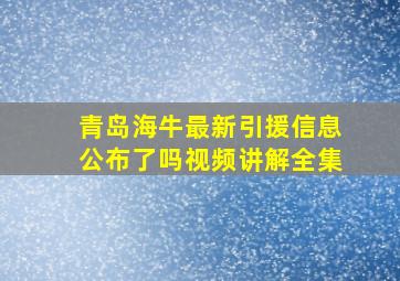 青岛海牛最新引援信息公布了吗视频讲解全集