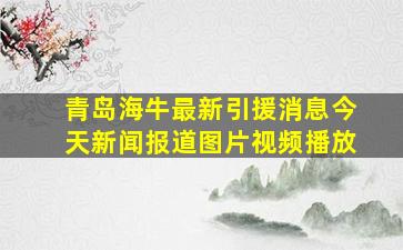 青岛海牛最新引援消息今天新闻报道图片视频播放