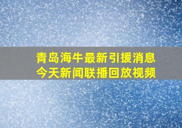 青岛海牛最新引援消息今天新闻联播回放视频