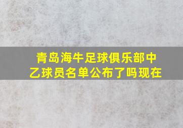 青岛海牛足球俱乐部中乙球员名单公布了吗现在