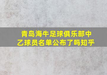 青岛海牛足球俱乐部中乙球员名单公布了吗知乎