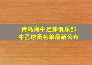 青岛海牛足球俱乐部中乙球员名单最新公布