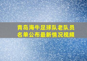 青岛海牛足球队老队员名单公布最新情况视频