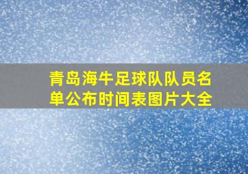 青岛海牛足球队队员名单公布时间表图片大全