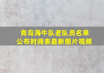 青岛海牛队老队员名单公布时间表最新图片视频