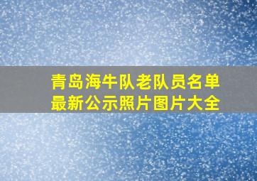 青岛海牛队老队员名单最新公示照片图片大全