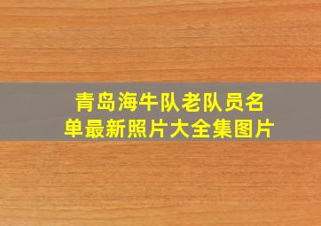 青岛海牛队老队员名单最新照片大全集图片