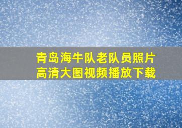 青岛海牛队老队员照片高清大图视频播放下载