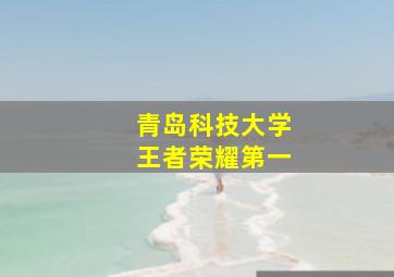 青岛科技大学王者荣耀第一