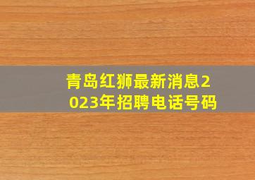 青岛红狮最新消息2023年招聘电话号码