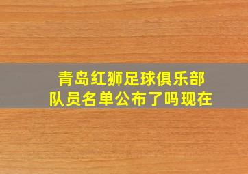 青岛红狮足球俱乐部队员名单公布了吗现在