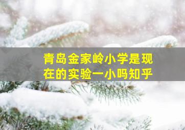 青岛金家岭小学是现在的实验一小吗知乎