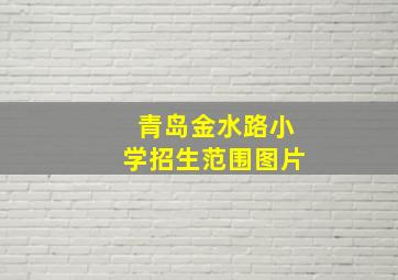 青岛金水路小学招生范围图片