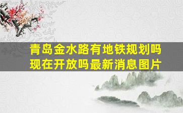 青岛金水路有地铁规划吗现在开放吗最新消息图片