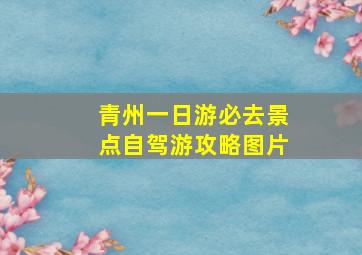 青州一日游必去景点自驾游攻略图片