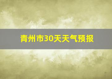 青州市30天天气预报