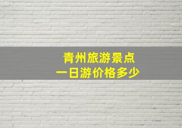 青州旅游景点一日游价格多少