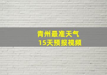 青州最准天气15天预报视频