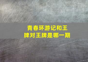 青春环游记和王牌对王牌是哪一期