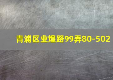 青浦区业煌路99弄80-502