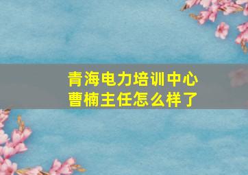 青海电力培训中心曹楠主任怎么样了