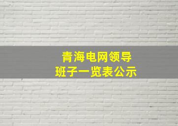 青海电网领导班子一览表公示