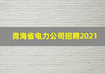 青海省电力公司招聘2021