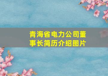 青海省电力公司董事长简历介绍图片