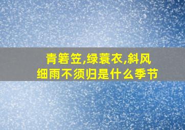 青箬笠,绿蓑衣,斜风细雨不须归是什么季节