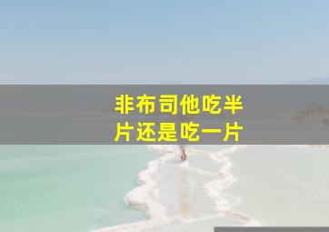 非布司他吃半片还是吃一片