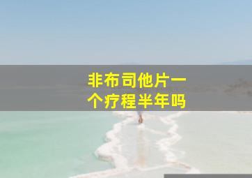 非布司他片一个疗程半年吗