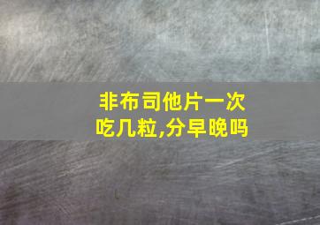 非布司他片一次吃几粒,分早晚吗