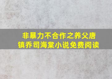 非暴力不合作之养父唐镇乔司海棠小说免费阅读