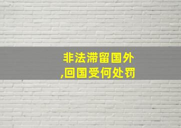 非法滞留国外,回国受何处罚